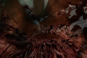 10strange stories470