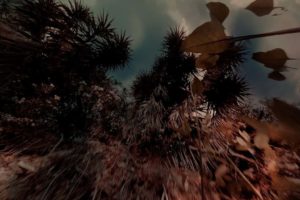 11strange stories471