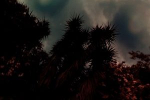 12strange stories354