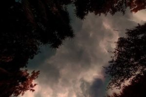 18strange stories352