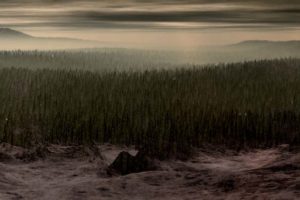 23strange stories291