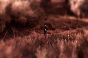 60strange stories101